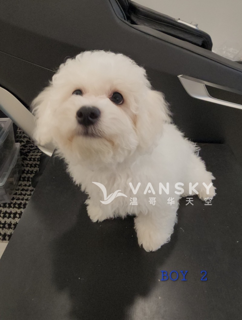 260420100510_Boy 2.jpg